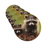Raccoon Car Air Freshener Cards Set of 4 Pieces Long Lasting Hanging Scented Cards Auto Aromatherapy Tablets Personalized Car Fresheners Gifts for Men Women - Lavender Scent