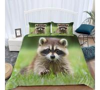 Raccoon Double Duvet Cover Sets Cute Animals Bedding Set 3D Print Quilt Cover 200x200 cm Soft Microfiber Lightweight with Zipper Closure and 2 Pillowcases e-3280