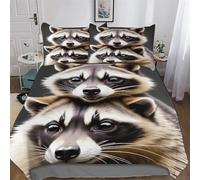 Raccoon Duvet Cover with Pillow Cases 3 PCs Comforter Cover Bedding Set for Childrens And Adults Soft Microfiber with Zipper Closure Quilt Cover Double (200x200cm)