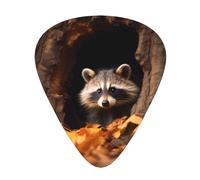 Raccoon in a Tree Hole Printed pick set - 12 pieces, thin, medium and thick guitar picks, suitable for guitar, bass, electric guitar and ukulele