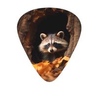 Raccoon in a Tree HoleGuitar Picks, 12-Piece Pattern Set, Three Different Thicknesses for Acoustic Electric Guitar and Other Instruments