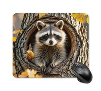 Raccoon in The Fall Tree Hole Mouse Pad Cute Square Mouse Mat Leather Non-Slip Rubber Base Mousepad Waterproof Computer Mouses Pad for Laptop Wireless Mouses Keyboard Home Office 25 * 30cm