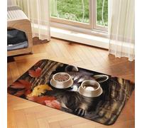 Raccoon in The Fall Tree Hole Pet Feeding Mat Absorbent Pu Leather Dog Cat Food Mats Contain Spills Protects Floors, Anti-Slip Rubber Backing Dog Bowl Mats Easy Clean Pet Placemats 40x60cm