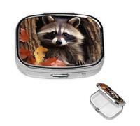 Raccoon in The Fall Tree Hole Pill Box 2 Compartment Medicine Pill Organizer Square Pill Case for Purse & Pocket Travel Pillbox Portable Metal Medicine Vitamin Fish Oil Organizer Unique Gift