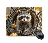 Raccoon in The Fall Tree Hole Square Mouse Pads Non-Slip Rubber Base Mouse Mat Cute Mousepad Funny Computer Desk Accessories for Office Home Gaming Work 20 * 25cm