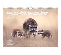Raccoon Magic DIN A3 Calendar for 2022 Raccoons - Soul Magic