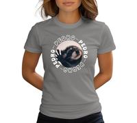 Raccoon Pedro Meme Racoon Dance Funny Raccoon Women's T-Shirt, gray, M