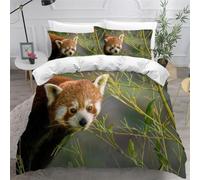 Raccoon Single Duvet Cover Sets Cute Animals Bedding Set 3D Print Quilt Cover 135x200 cm Soft Microfiber Bed Sets with Zipper Closure and 2 Pillowcases y-3836
