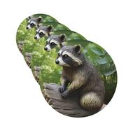 Raccoon Statue Car Air Fresheners Cards Set of 4 Pieces Personalized Car Fresheners Gifts for Men Women Auto Aromatherapy Tablets Hanging Scented Cards for Wardrobe Bathroom