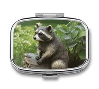 Raccoon Statue Pill Box,2 Compartments Square Pills Container,Portable for Pocket Or Purse Pill Organizer to Hold Vitamins,Medication,Fish Oil,etc