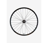 Race Face Aeffect 29' Disc IS 6-bolt 15x110 mm Front Wheel Black