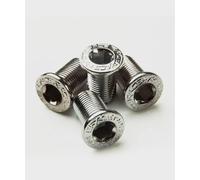 Race Face Bicycle Cycle Bike Chainring Inner Bolt Pack - 12 MM
