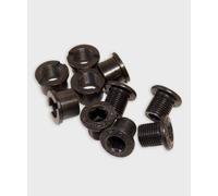 Race Face Outer Chainring Bolts, Set/10 - Silver by RaceFace