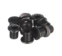 Race Face Outer Chainring Bolts, Set/10 - Silver by RaceFace