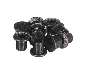 Race Face Outer Chainring Bolts, Set/10 - Silver by RaceFace