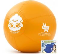 Race&Herd| Herding Ball for Dogs Blue Heelers, Horse Ball & Ball Cover - Ball for Horses Large with Hand Pump | Horse Balls for Play Hurding Ball