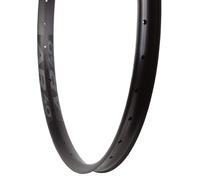 RaceFace AR 30 Rim - 29 Disc Black 32H Offset