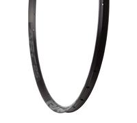 RaceFace ARC 25 Rim - 29 Disc Black 32H Offset