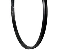 RaceFace ARC 30 Rim - 29 Disc Black 32H Offset