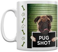 Rachael Hale Pyramid International (Pug Shot Banjo) Official Boxed Ceramic Coffee/Tea Mug, Multi-Colour, 11 oz/315 ml