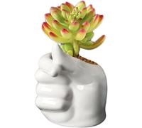 Rachlicy Succulent Plant Pots, Hand-Shaped Succulent Pots with Heart Sign, Creative Cute Ceramic for Plants, Decorative White Flower Pot for Home and Office