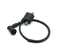 Racing Ignition Coil Motorcycle Ignition Coil For 50cc 125cc 150cc 200cc For D8TC CG ZJ High Pressure Coil For ATV For Quad For Dirt Pit Bike