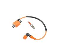 Racing Ignition Coil Motorcycle Ignition Coil For D8TJC Spark Plug For 50cc For 125cc For 150cc For 200cc For ATV