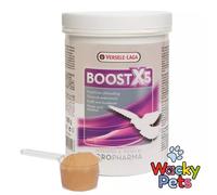 RACING PIGEON SUPPLEMENT Versele Laga Oropharma Boost X5 500g FOR STAMINA