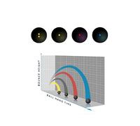 Racketworld Dunlop Mixed Pack Squash Balls (4 Balls in total - 1 of Intro, Progress, Competition & Pro)