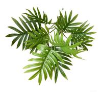 Rackumic Artificial Areca Palm Plant 1 Piece Green Soft PVC Lifelike Foliage Detailed Veins 30cm Tall for Wedding Ceremony Patio Home Interior Decor Craft Project Display Centerpiece