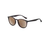 Racoon Polarised Sunglasses in Tortoise & Brown