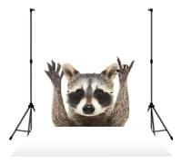 Racoons Professional Photography Backdrop For Newborn, Bridal Shower, Party & Video Production - 5x7ft