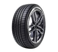 Radar Dimax 4 Season 215/60 R17 100H XL