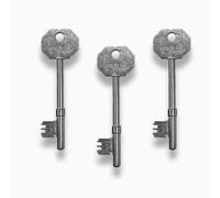 Radar Disabled Toilet Key Standard Size 3 Pack by Solid As A Lock Hardware