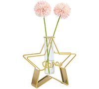 Radefasun Desktop Plant Vases with Test Tube Glass Flower Vase with Gold Metal Stand Propagation Station Plant Holder for Home Wedding Decor (Gold, Star)
