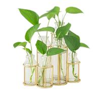 Radefasun Flower Vases with 6 Bottle Crystal Clear Glass Flower Vase with Metal Stand Propagation Station Plant Display Holder Set for Home or Wedding Décor
