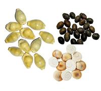 Radhna Traditional Indian Combo Pack of 21 Yellow Kodi Kaudi 21 Kamal Gatta Seed 21 Gomati Chakra for Laxmi Diwali Pooja Purpose