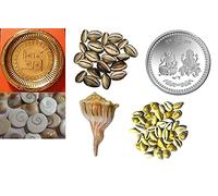 Radhna Traditional Indian Diwali Pooja Combo - Lakshmi Ganesh Coin 5 Pc Yellow Kaudi 5 Pc Gomti Chakras 5 Pc Black Kaudi Brass Pooja Thali Dakshinavarti Shankha Black Kauri Yellow Kauri Peeli Kaudi