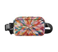 Radiant Explosion Of Color Artwork Cute Crossbody Bag Waist Packs for Men Women Water Resistant Running Belt Waist Pack, Radiant Explosion of Color Artwork, One Size