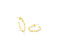 Radiant Fantasy Gold Silver Earrings, Estándar,