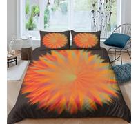 Radiating Pattern Single Duvet Cover Set 3D Printed Abstract Art Bedding Set Ultra Soft Microfiber Quilt Cover 150x200 cm for Single Bed with 2 Pillowcases with Zipper B/1929