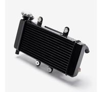 Radiator Angled Outlet