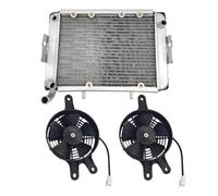 Radiator Assembly And Cooling Fan Blower Assembly Compatible With Linhai 260 300 ATV Goon Muddy BigHorn 22904T 22905T