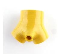 Radiator Coolant Hose Compatible with S4 for RS4 B5 for Biturbo 2.7T for Bi-Turbo 2000 2001 2002 2003 2004 2005 Silicone Pipe Hose Tube Engine Radiator Coolant Hose