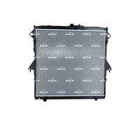 RADIATOR, ENGINE COOLING 59261