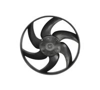 THERMOTEC D8C004TT Fan, radiator for CITRO?N,PEUGEOT
