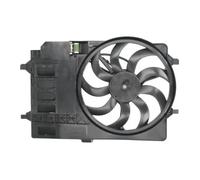 THERMOTEC D8B003TT Fan, radiator