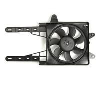 Radiator fan D8F008TT THERMOTEC for FIAT PUNTO