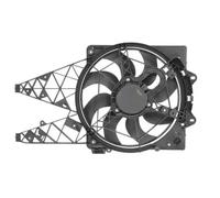 THERMOTEC D8F019TT Fan, radiator