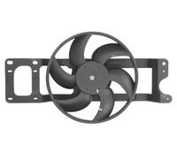 THERMOTEC D8R008TT Fan, radiator